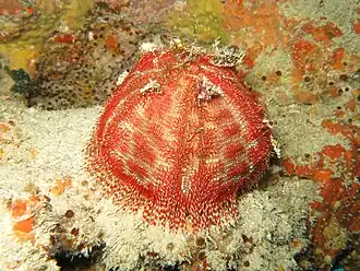 Description de cette image, également commentée ci-après