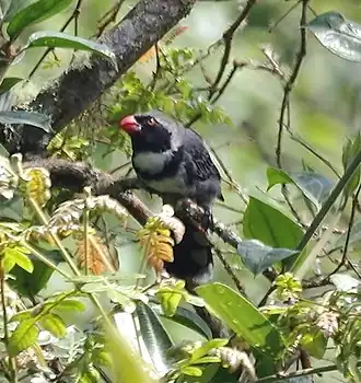 Description de cette image, également commentée ci-après