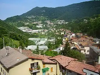 Polaveno