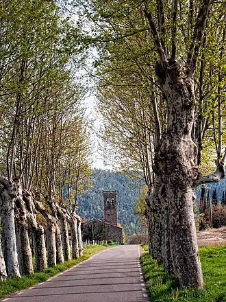 Santa Maria de Merlès