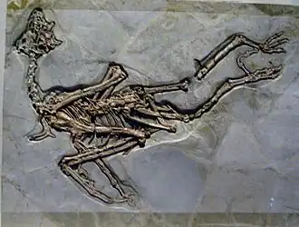 Description de cette image, également commentée ci-après