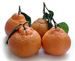 Mandarines.