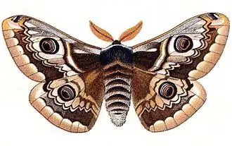 Description de cette image, également commentée ci-après