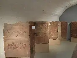 Vue d'un ensemble de stèles exposées dans un musée.