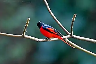 Description de cette image, également commentée ci-après