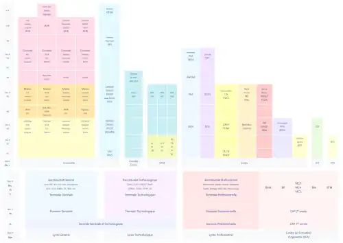 Organisation de l'enseignement supérieur français.