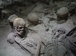 Crânes et troncs humains grisâtres