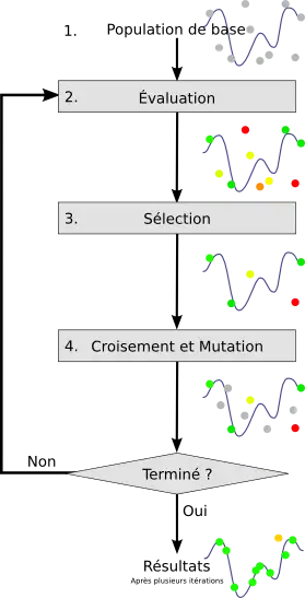Algorithme génétique : un procédé analogue à la reproduction sexuée au niveau des chromosomes
