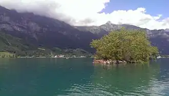 L'île Schnittlauchinsel sur le lac de Walenstadt