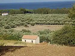 Vue surplombante du forum romain.