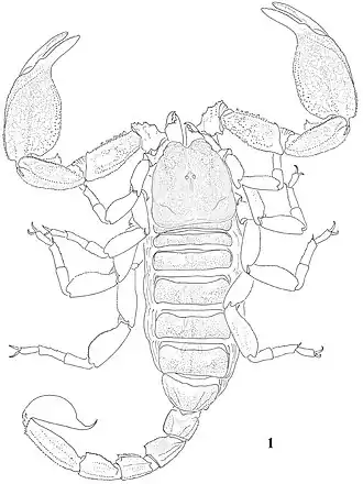 Description de cette image, également commentée ci-après