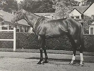 Image illustrative de l’article Sea-Bird II