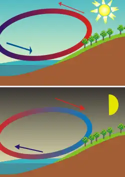 La brise de mer, créée par la différence des températures de l'air, la terre et la mer, s'inverse entre le jour et la nuit.