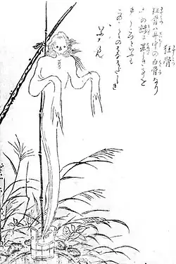 Kyōkotsu (狂骨?)