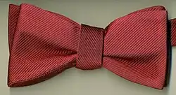 Photographie d'un nœud papillon rouge.