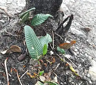 Description de cette image, également commentée ci-après