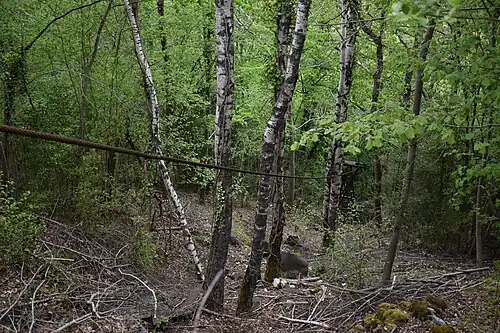 Câble de la trémie.