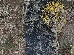 Ruisseau Cossette, tributaire du ruisseau Gendron, sous le pont Saint-Prosper-de-Champlain (Sentier Transcanadien)