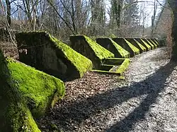 Toblerones de la ligne fortifiée de la Promenthouse en Suisse.
