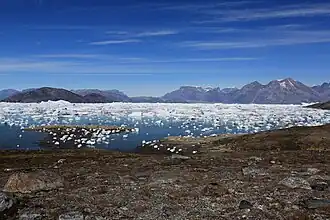 Photographie en couleurs et en vue panoramique d'un fjord aux eaux parsemées de petits blocs d'icebergs et bordé d'une côte échancrée au premier plan.