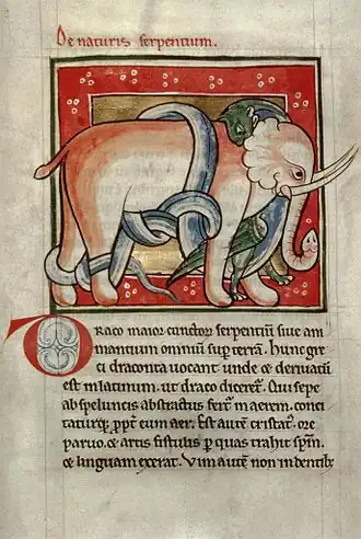 Bestiaire de Radford, l'éléphant