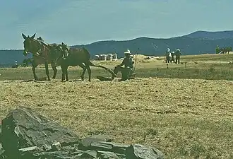 Serradilla del Llano