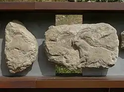 Bouquetins et bisons sculptés, 25 000 avant notre ère, Roc-de-Sers.