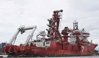 illustration de Seven Phoenix