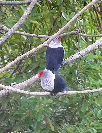 Description de cette image, également commentée ci-après