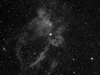 Image illustrative de l’article Pince de Homard