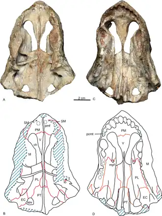 Description de cette image, également commentée ci-après