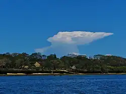 Littoral de Shimoni.