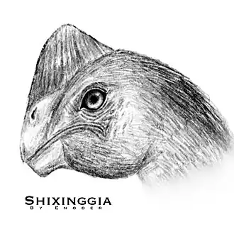 Description de l'image Shixinggia.jpg.