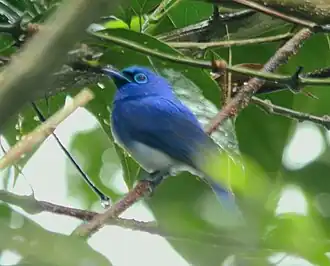 Description de cette image, également commentée ci-après