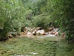 Barrage de l'ancien moulin à blé des Ajustadous