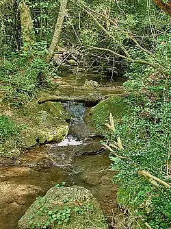 Confluence Siagnole et Vallon de San Peyre