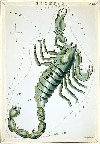Carte no&nbsp;23 : Le Scorpion