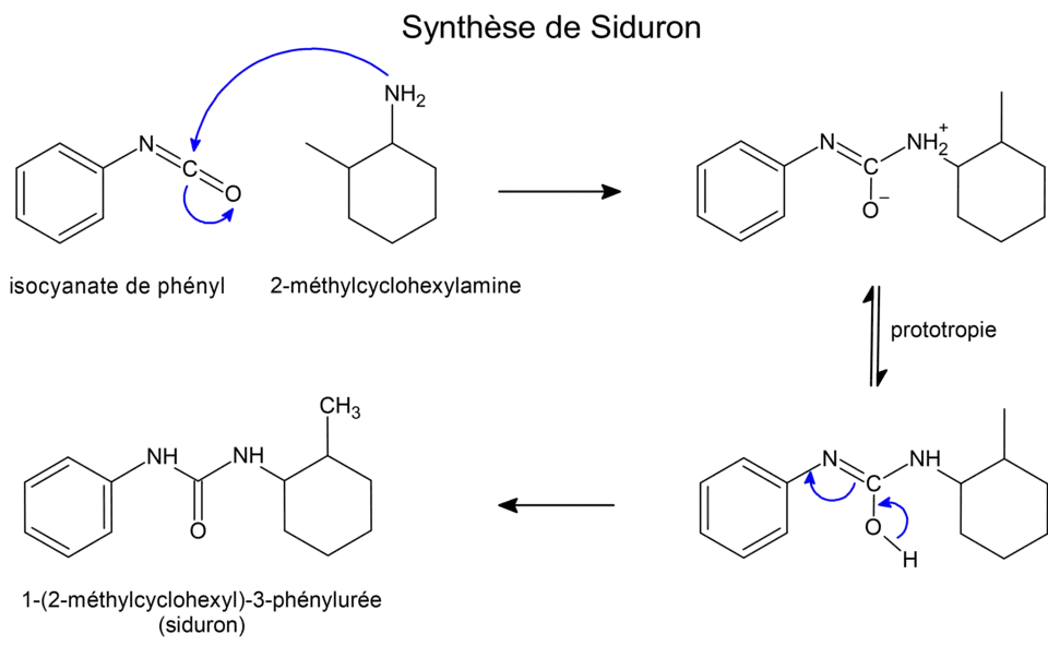 Description of image