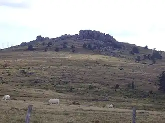 Le signal de Randon vu du col du Cheval Mort (1 454 m).