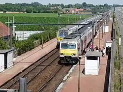 Trains à quai.