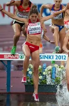 Image illustrative de l’article Silvia Danekova