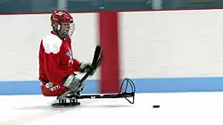 Un joueur de para-hockey sur glace maniant le palet.
