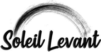 Logo français de la série.