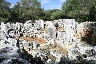 Image illustrative de l’article Son Catlar