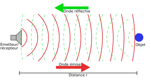 Principe de l’écholocalisation.