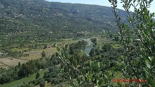 Description de cette image, également commentée ci-après