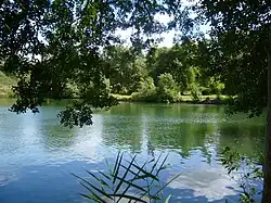 Le Loing à Souppes-sur-Loing.