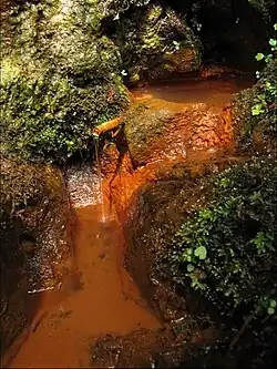 Source d'eau minérale gazeuse de Peyralade.