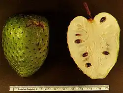 Annona muricata, fruit coupé