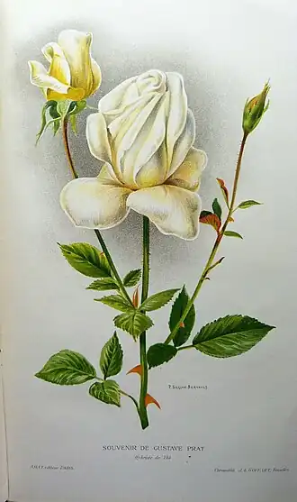 Image illustrative de l’article Souvenir de Gustave Prat